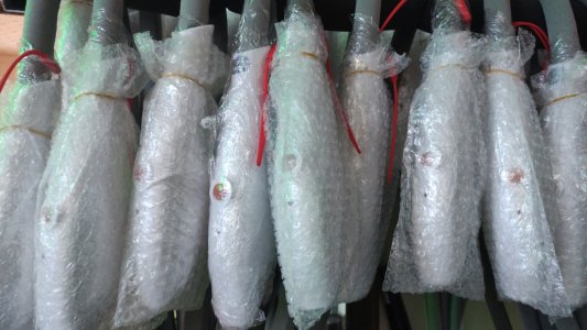 Ipl lazer başlıkları